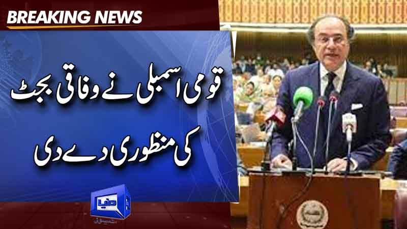  NA approves budget 2024-25 amidst opposition criticism
